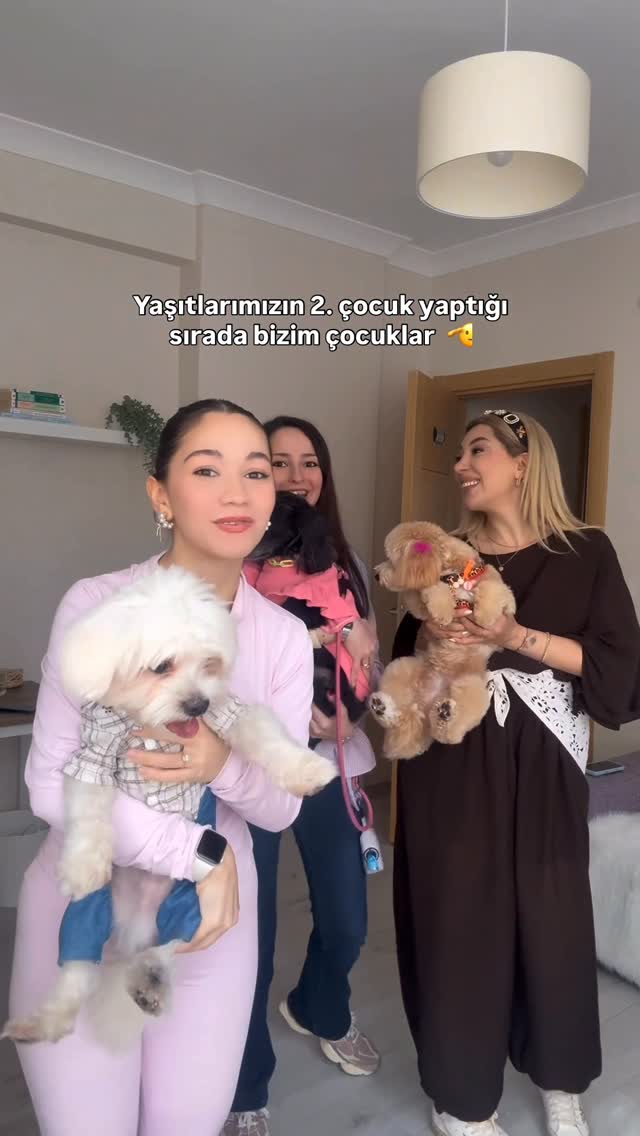 list-cover
